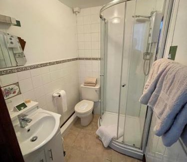 Felin Fach Hotel | Welcoming Plough and Harrow: Rated 9/10 with Family Amenities