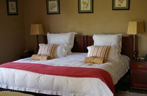 Hazyview House | Top-Rated Plumbago Guest House with Pool & Pet-Friendly Options