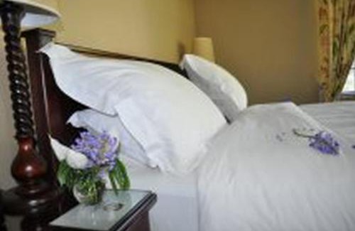 Hazyview House | Top-Rated Plumbago Guest House with Pool & Pet-Friendly Options