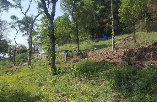 Kodaikanal Cottage | Explore Nature at Plumeria Eco Trails Resort with Breakfast