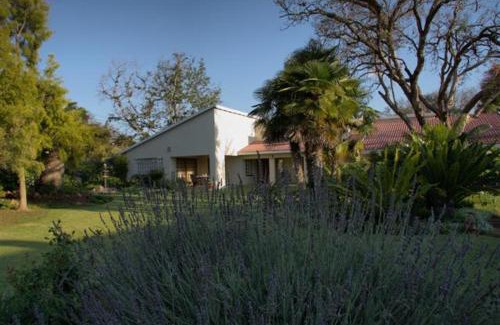 Polokwane Bed & Breakfast | Relax at Plumtree Lodge with Oceanfront Pool Access