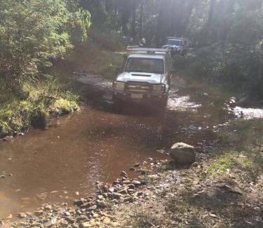 Narbethong Other | Explore PNL 4WDriving in Beautiful Narbethong