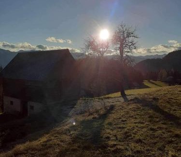 Koprivnik v Bohinju House | Pet-Friendly Počitniška Hiša Jeklar with Great Reviews