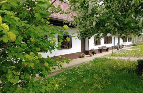 Ormoz House | Experience POČITNIŠKA HIŠA PRLEČKA with Oceanfront Views