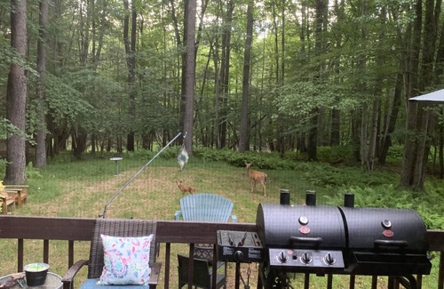 Gouldsboro Cabin | Exceptional Pocono Cabin at Big Bass Lake Resort with Pool