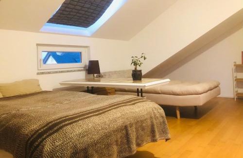 Kuppenheim Apartment | Inviting Pod-Inn 坡顶公寓 - Family-Friendly Retreat
