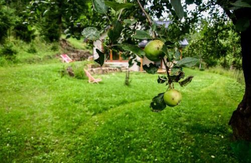 Szczawnica Apartment | Pet-Friendly Pod Klonem - Guest Rated 9.7/10 Experience