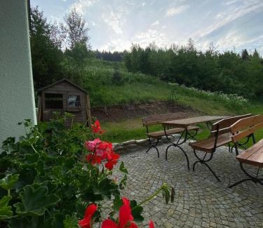 Zieleniec House | Family-Friendly Retreat at Pod Orlicą with High Ratings
