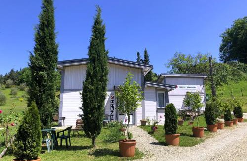 Borgo San Lorenzo Bed & Breakfast | Relax at Podere Badia Valdrago Agriturismo with Ocean Views