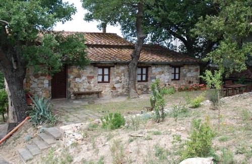Monterotondo Marittimo Apartment | Relax at Podere Bellavista: Pet-Friendly Oasis with Pool