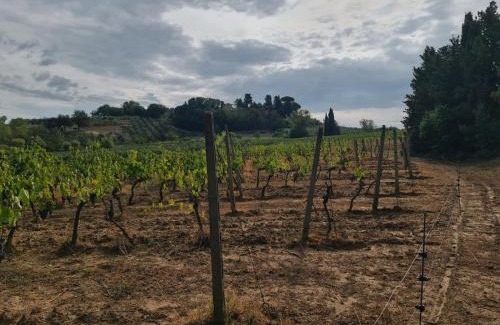 Peccioli House | Discover Podere Borgaruccio: Oceanfront Relaxation Awaits