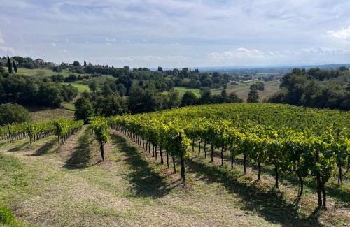 Santarello House | Discover Podere Campanella: Family and Pet-Friendly Retreat