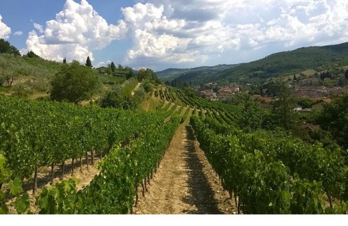 Greve in Chianti House | Relax at Podere Campriano Winery with Oceanfront Views