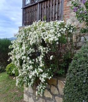 Rapolano Terme House | Relaxing Podere Casalbosco with Hot Tub & Ocean Views