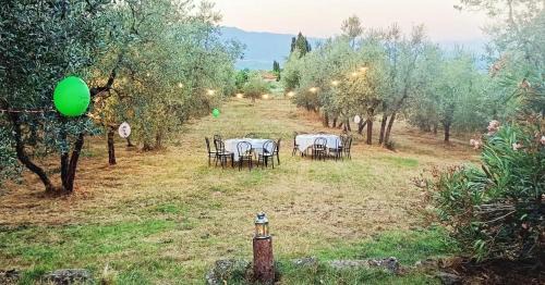 Figline e Incisa Valdarno House | Pet-Friendly Retreat at Podere delle Arti - Rated 10/10