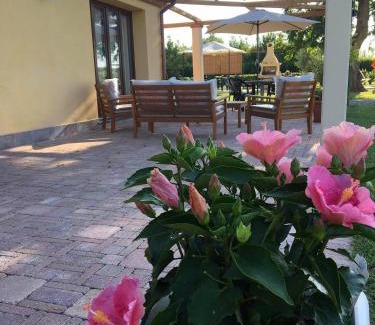 San Giuliano Terme Apartment | Unforgettable Family Retreat at Podere Gabry - 10/10 Rated
