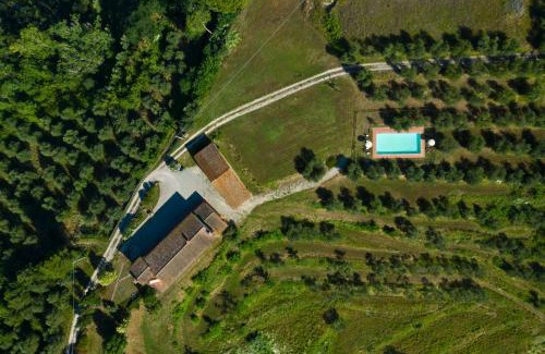 San Miniato Villa | Elevate Your Stay at Podere l'Ulivo – 4-Star Oceanfront Escape