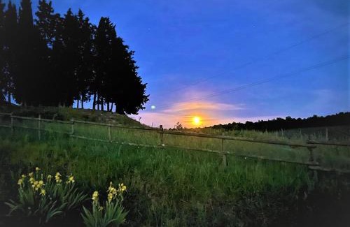 Rapolano Terme House | Experience Podere La Selva - Guest Rated 9.8, Pet Friendly