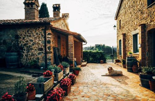 Trevinano Bed & Breakfast | Experience Podere Orto Wine Country House with Ocean Views