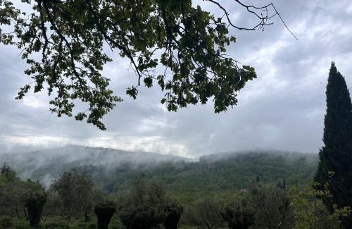 Castellina in Chianti Apartment | Experience Podere Sagna: Oceanfront Retreat with Pool