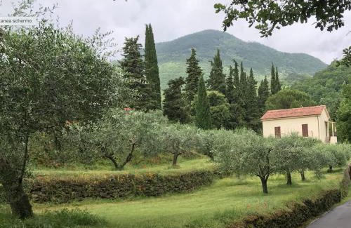 Bagni San Filippo Apartment | Pet-Friendly Podere San Biagio with Oceanfront Views