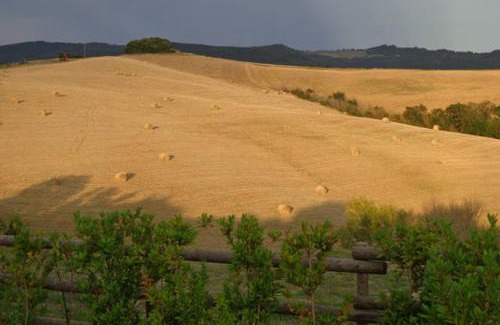 Volterra House | Pet-Friendly Podere San Luigi: Rated 9/10 by Guests