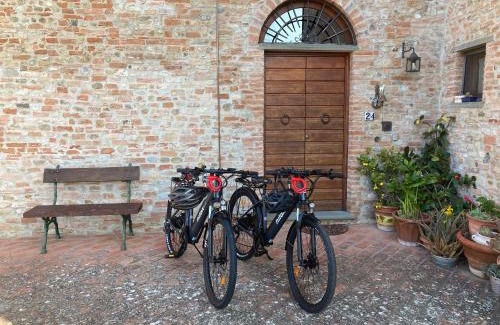 Montespertoli Bed & Breakfast | Discover Podere Sanripoli: Pet & Child Friendly Retreat