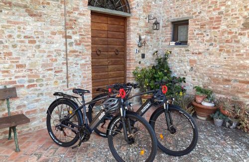 Montespertoli Bed & Breakfast | Discover Podere Sanripoli: Pet & Child Friendly Retreat