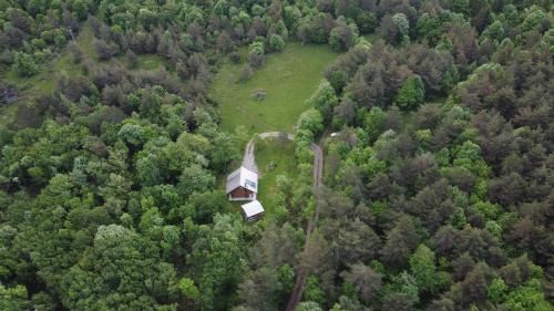 Ilirska Bistrica Ski Chalet | Discover Podklanci: Pet-Friendly Retreat with Top Ratings