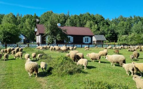 gmina Czeremcha House | Podlaski Zakątek: Guest Rated 10/10 with Oceanfront Views