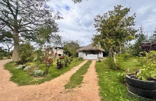 Nanyuki Cottage | Podocarpus cottages 03