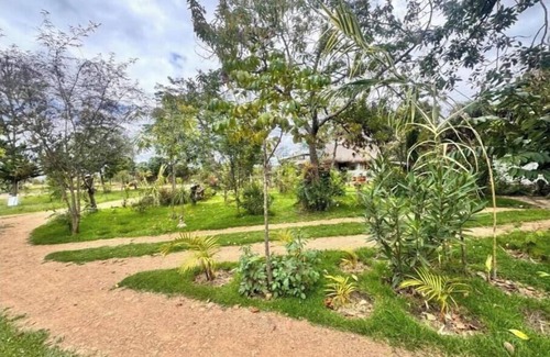 Nanyuki Cottage | Podocarpus cottages 03