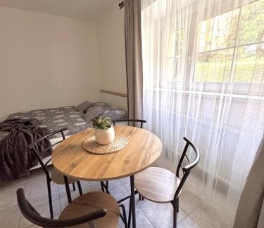 Decin Apartment | Podzámčí - útulný byt na nábřeží pod zámkem