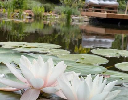 Region Hannover District Apartment | Experience Nature at Poggenhagen: Pet-Friendly Retreat