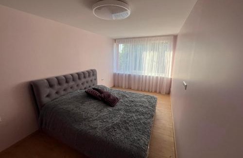 Klaipeda District Municipality Apartment | Discover Poilsis Drevernoje: Family-Friendly Retreat