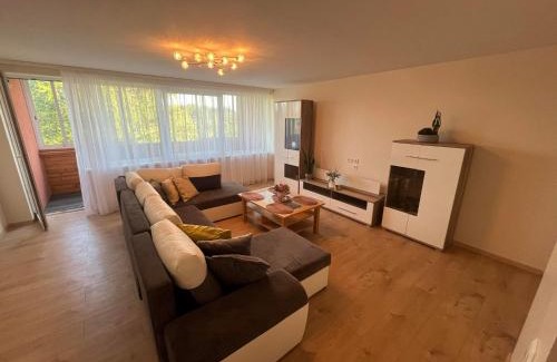 Klaipeda District Municipality Apartment | Discover Poilsis Drevernoje: Family-Friendly Retreat