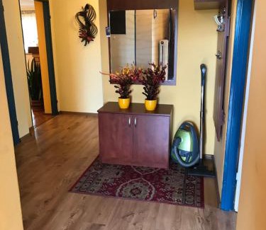 Wiele Apartment | Pet-Friendly Retreats at Pokoje Gościnne Pod Magnolią