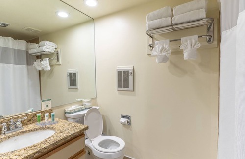 Snowmass Village Hotel | Explore Comfort at Pokolodi Lodge with Premium Amenities