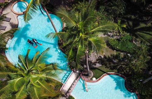 Loon Resort | Pet-Friendly Polaris Beach and Dive Resort: Oceanfront Escape