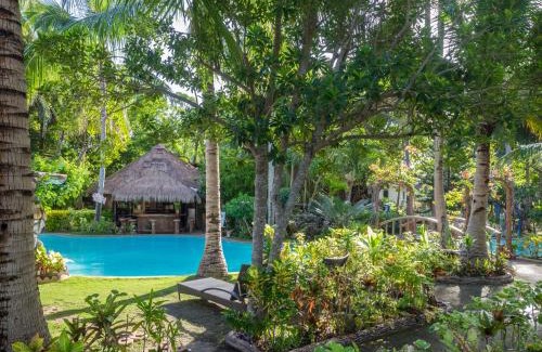 Loon Resort | Pet-Friendly Polaris Beach and Dive Resort: Oceanfront Escape