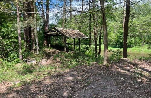 gmina Popow Other | Discover Pole Namiotowe Liswarta: Pet-Friendly Retreat