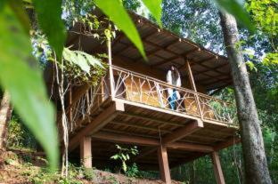 Digana House | Discover Polwaththa Eco Lodges: Top-Rated Family Retreat