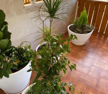 Pombal Apartment | Pombal Suite: Family-Friendly Stay with Breakfast Included