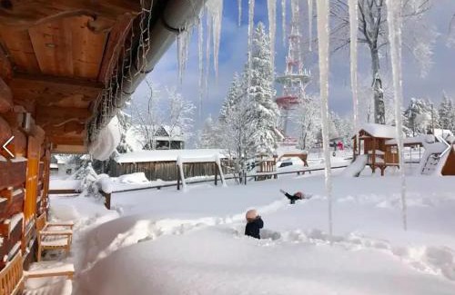 Zakopane House | Pet-Friendly Escape at Pompelówka - A 4-Star Retreat