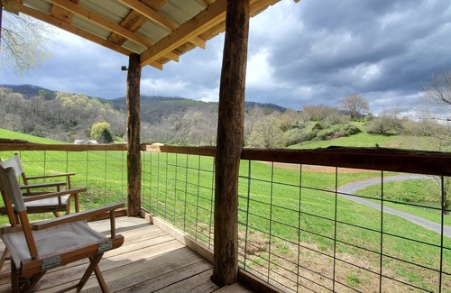 Lewisburg Cabin | Cozy Pond View Cabin: Pet-Friendly Retreat in WV