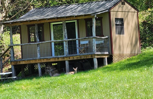 Lewisburg Cabin | Cozy Pond View Cabin: Pet-Friendly Retreat in WV
