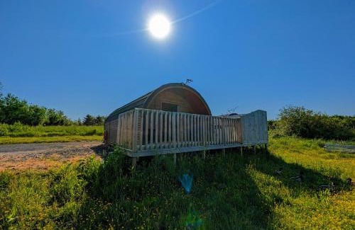 Kelty Cabin | Enjoy Pond View Pod 2 with Private Hot Tub - Pet Friendly
