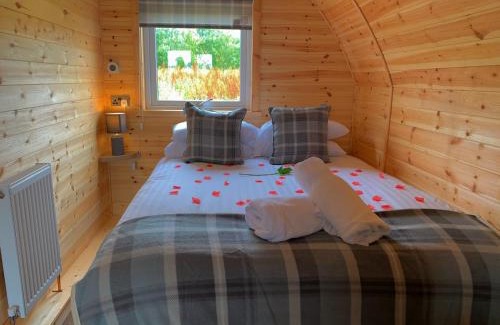 Kelty Cabin | Pond View Pod 3: Private Hot Tub & Pet Friendly Retreat