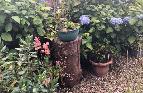 Lisburn House | Pet-Friendly PondeROSEa Cottage with Free Gated Parking