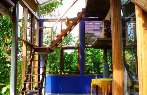 Sukasada House | Pondok Apsari: Exceptional Stay with Pool & Pet Friendly
